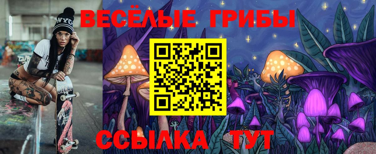 Псилоцибиновые грибы прущие грибы Клинцы